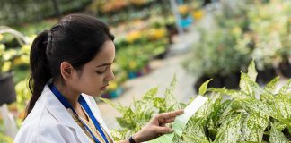 National and International Job Opportunities for agriculture Students in the Food and Agro-Business Industry National and International Job Opportunities for agriculture Students in the Food and Agro-Business Industry