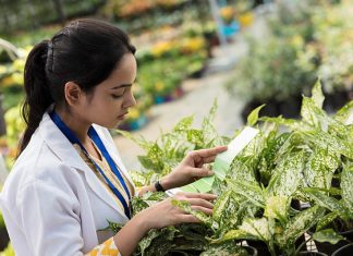 National and International Job Opportunities for agriculture Students in the Food and Agro-Business Industry National and International Job Opportunities for agriculture Students in the Food and Agro-Business Industry